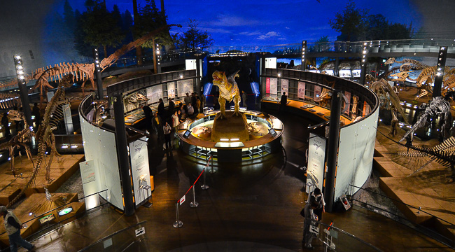 Dịch vụ chuyển phát nhanh từ Fukui– Nhật Bản về Hà Nội nhanh chóng, giá rẻ Dịch vụ chuyển phát nhanh từ Fukui– Nhật Bản về Hà Nội nhanh chóng, giá rẻ