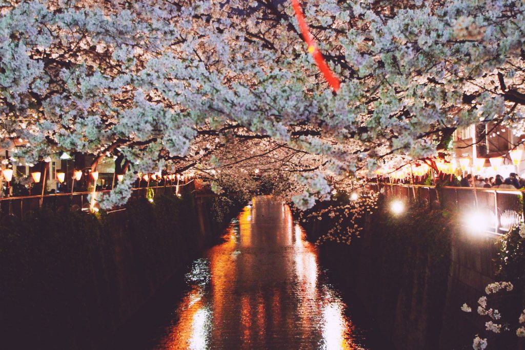 Chuyển phát nhanh từ Hà Nội đi Fukui