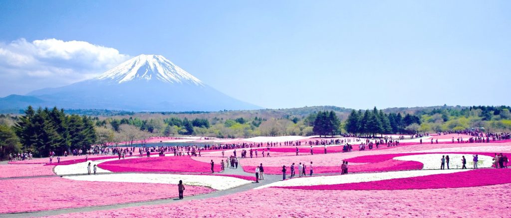 Chuyển phát nhanh từ Hà Nội đi Fukushima