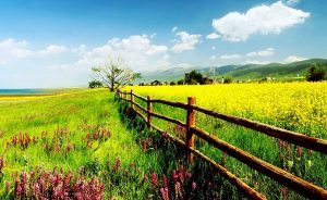 Chuyen phat nhanh tu Ha Noi di Thanh Hai (Qinghai)-Trung Quoc cua IndochinaPost