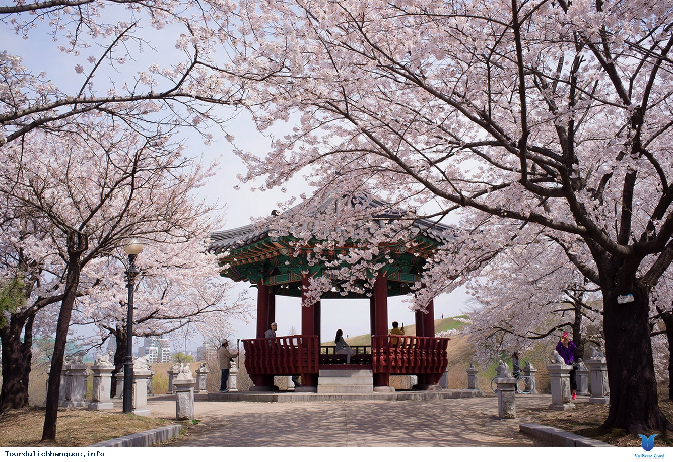 Hướng dẫn nhập khẩu từ Hàn Quốc