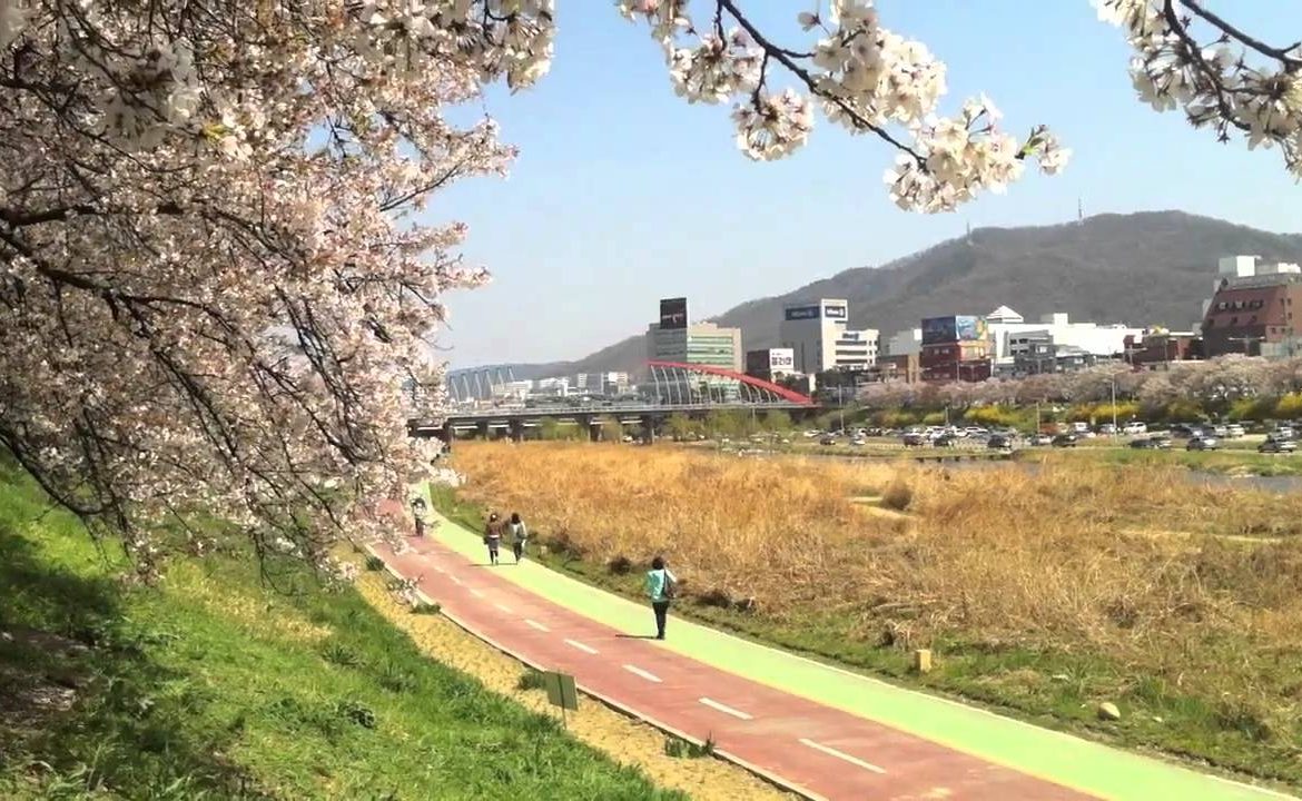 Chuyển phát nhanh từ Đà Nẵng đi Hàn Quốc giá rẻ