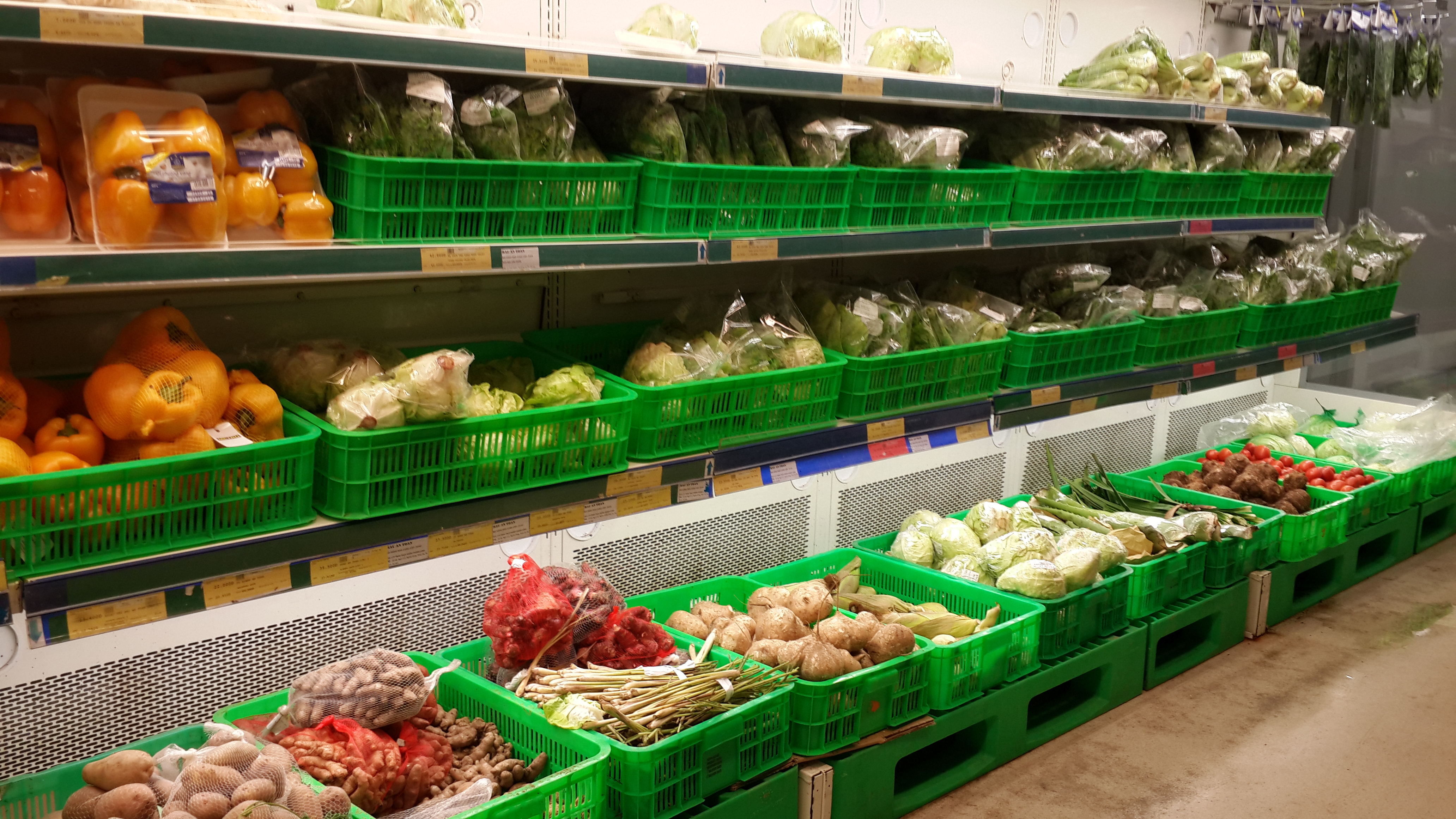 Nhập khẩu rau củ quả đóng gói